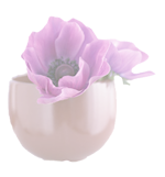 花01